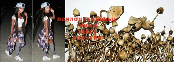 альфа пвп Вяземский