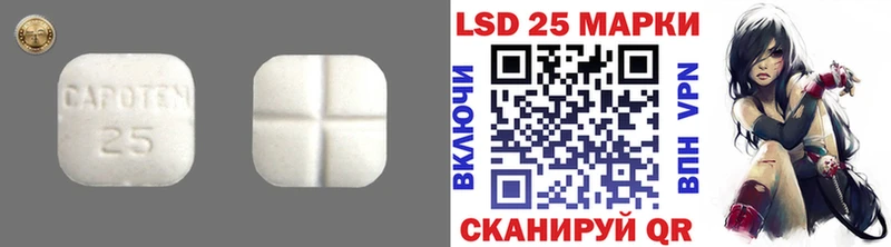 darknet телеграм  Каргополь  LSD-25 экстази кислота 