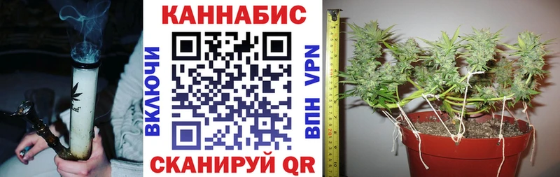 закладка Каргополь Конопля White Widow